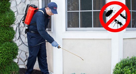 Yeşilhisar Böcek İlaçlama böcek ilaçlama ve haşere kontrolü — ilaclama-tr.com